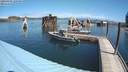 ./images/quadra/hbidock/20200809/hbidock20200809_120500M.jpg