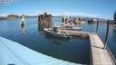 ./images/quadra/hbidock/20200809/hbidock20200809_121000M.jpg