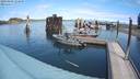./images/quadra/hbidock/20200809/hbidock20200809_134000M.jpg