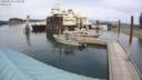 ./images/quadra/hbidock/20200809/hbidock20200809_150500M.jpg