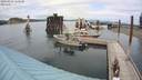 ./images/quadra/hbidock/20200809/hbidock20200809_160500M.jpg