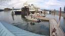 ./images/quadra/hbidock/20200809/hbidock20200809_165000M.jpg
