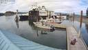 ./images/quadra/hbidock/20200809/hbidock20200809_165500M.jpg