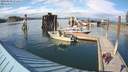 ./images/quadra/hbidock/20200809/hbidock20200809_171500M.jpg