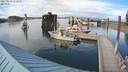 ./images/quadra/hbidock/20200809/hbidock20200809_173000M.jpg