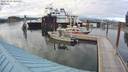 ./images/quadra/hbidock/20200809/hbidock20200809_185000M.jpg