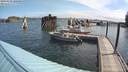 ./images/quadra/hbidock/20200810/hbidock20200810_100000M.jpg