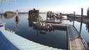 ./images/quadra/hbidock/20200812/hbidock20200812_083000M.jpg