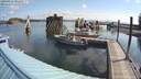 ./images/quadra/hbidock/20200812/hbidock20200812_093000M.jpg
