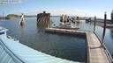 ./images/quadra/hbidock/20200812/hbidock20200812_095000M.jpg