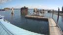 ./images/quadra/hbidock/20200812/hbidock20200812_100500M.jpg