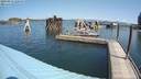 ./images/quadra/hbidock/20200812/hbidock20200812_120500M.jpg