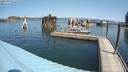 ./images/quadra/hbidock/20200812/hbidock20200812_121500M.jpg
