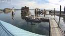 ./images/quadra/hbidock/20200813/hbidock20200813_093500M.jpg