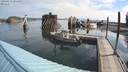 ./images/quadra/hbidock/20200813/hbidock20200813_094500M.jpg