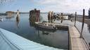 ./images/quadra/hbidock/20200813/hbidock20200813_101000M.jpg