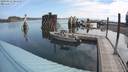./images/quadra/hbidock/20200813/hbidock20200813_101500M.jpg