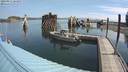 ./images/quadra/hbidock/20200813/hbidock20200813_103000M.jpg