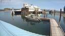 ./images/quadra/hbidock/20200813/hbidock20200813_111500M.jpg