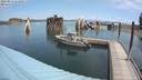 ./images/quadra/hbidock/20200813/hbidock20200813_114500M.jpg