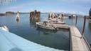 ./images/quadra/hbidock/20200813/hbidock20200813_123500M.jpg