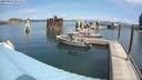 ./images/quadra/hbidock/20200813/hbidock20200813_124000M.jpg