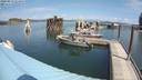 ./images/quadra/hbidock/20200813/hbidock20200813_124500M.jpg