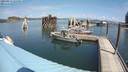 ./images/quadra/hbidock/20200813/hbidock20200813_125000M.jpg