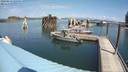 ./images/quadra/hbidock/20200813/hbidock20200813_125500M.jpg