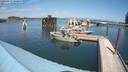 ./images/quadra/hbidock/20200813/hbidock20200813_143000M.jpg