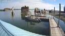 ./images/quadra/hbidock/20200814/hbidock20200814_094001M.jpg