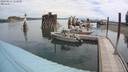 ./images/quadra/hbidock/20200814/hbidock20200814_112000M.jpg