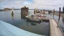 ./images/quadra/hbidock/20200814/hbidock20200814_114500M.jpg