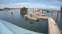 ./images/quadra/hbidock/20200814/hbidock20200814_141000M.jpg