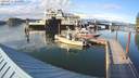./images/quadra/hbidock/20200814/hbidock20200814_185000M.jpg