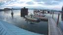./images/quadra/hbidock/20200814/hbidock20200814_204000M.jpg