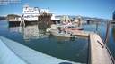 ./images/quadra/hbidock/20200815/hbidock20200815_144500M.jpg
