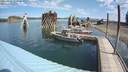 ./images/quadra/hbidock/20200816/hbidock20200816_114500M.jpg