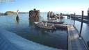 ./images/quadra/hbidock/20200817/hbidock20200817_080000M.jpg