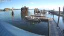 ./images/quadra/hbidock/20200817/hbidock20200817_081000M.jpg