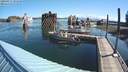 ./images/quadra/hbidock/20200817/hbidock20200817_091000M.jpg