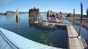 ./images/quadra/hbidock/20200817/hbidock20200817_095000M.jpg
