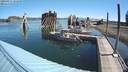 ./images/quadra/hbidock/20200817/hbidock20200817_101000M.jpg