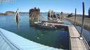 ./images/quadra/hbidock/20200817/hbidock20200817_102500M.jpg