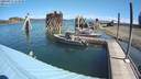 ./images/quadra/hbidock/20200817/hbidock20200817_113500M.jpg