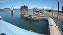 ./images/quadra/hbidock/20200817/hbidock20200817_115000M.jpg