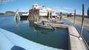 ./images/quadra/hbidock/20200817/hbidock20200817_125000M.jpg