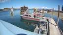 ./images/quadra/hbidock/20200817/hbidock20200817_134000M.jpg