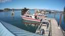 ./images/quadra/hbidock/20200817/hbidock20200817_155500M.jpg