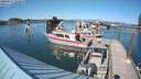 ./images/quadra/hbidock/20200817/hbidock20200817_162000M.jpg